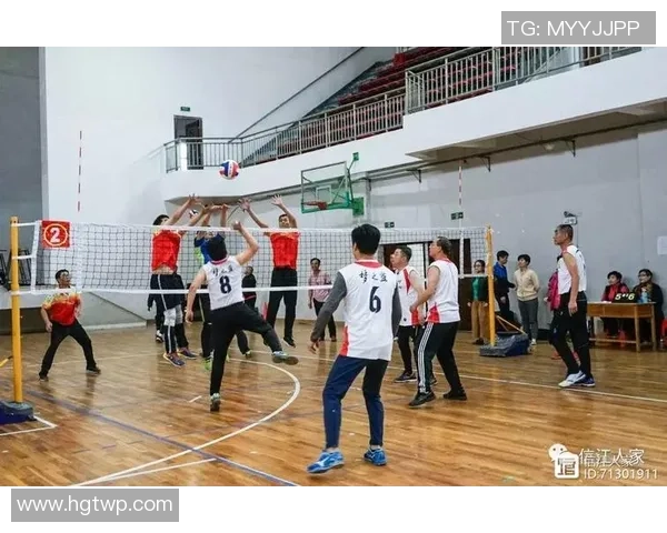 周芳的排球人生：从赛场拼搏到人生哲学的深度对话