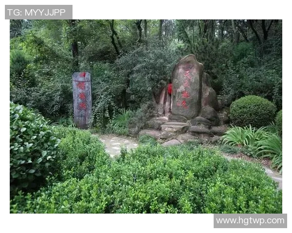 老爷踢足球的奇妙冒险与青春回忆的交织之旅