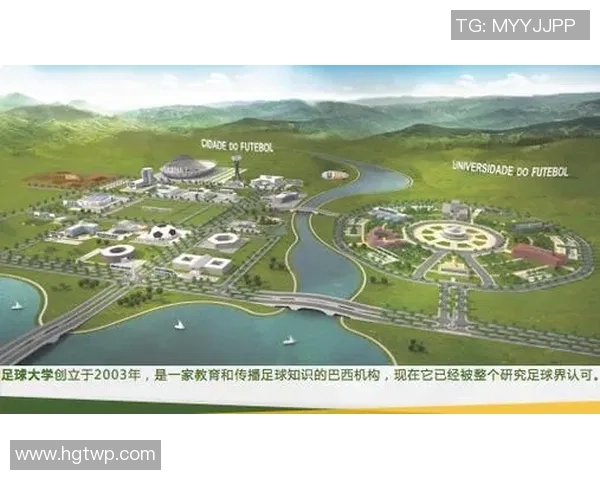 足球专项证明的重要性及其在职业发展中的应用分析